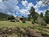 29665 Hwy 64 - Photo 20