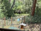 29665 Hwy 64 - Photo 23