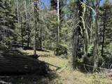 Lot 374A Vail Loop - Photo 1