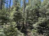 Lot 374A Vail Loop - Photo 3