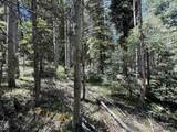 Lot 374A Vail Loop - Photo 5