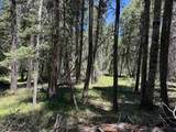 Lot 374A Vail Loop - Photo 6