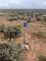 Tract D3 Sheep Herder Road - Photo 12