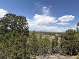 tbd Off Nm 518 Lot 18 - Photo 13