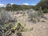 tbd Off Nm 518 Lot 18 - Photo 3