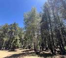TBD Alpine Lake Way Lot 3 Blk E - Photo 3