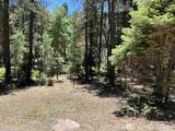 TBD Alpine Lake Way Lot 3 Blk E - Photo 6