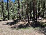 TBD Alpine Lake Way Lot 3 Blk E - Photo 7