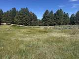 Lot 8 Blk D Jackson Hole - Photo 1