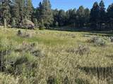 Lot 8 Blk D Jackson Hole - Photo 6