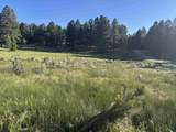 Lot 8 Blk D Jackson Hole - Photo 9