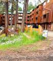 10 Jackson Hole - Photo 17