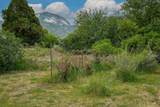 Tract 13 Luis O Torres Rd - Photo 12