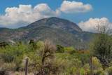 Tract 13 Luis O Torres Rd - Photo 16