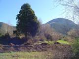 Tract 13 Luis O Torres Rd - Photo 20