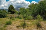 Tract 13 Luis O Torres Rd - Photo 25