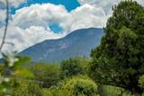 Tract 13 Luis O Torres Rd - Photo 31