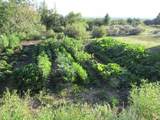 Tract 13 Luis O Torres Rd - Photo 46