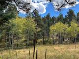 425 State Highway 105 - Photo 36