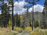 425 State Highway 105 - Photo 37
