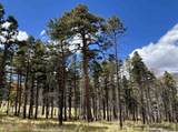 425 State Highway 105 - Photo 39