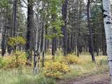 425 State Highway 105 - Photo 40