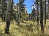 425 State Highway 105 - Photo 41