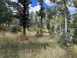 425 State Highway 105 - Photo 42