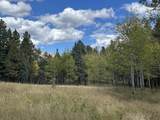 425 State Highway 105 - Photo 43