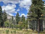 425 State Highway 105 - Photo 44