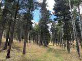 425 State Highway 105 - Photo 48