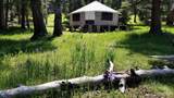 131 Forest Road 76 - Photo 36