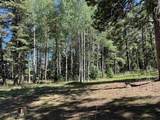 131 Forest Road 76 - Photo 41