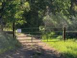 131 Forest Road 76 - Photo 43