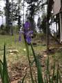168 Mertz Place Lot 65 - Photo 27