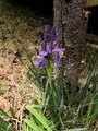 168 Mertz Place Lot 65 - Photo 28