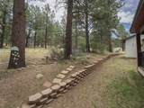 59 Alta Road - Photo 36