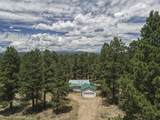 59 Alta Road - Photo 42