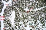 TBD Rainbow Overlook Lot 1229Re Amended A - Photo 5