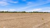 15 Plus Acres Off Highway 522 And Myers - Photo 11