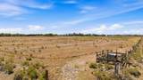 15 Plus Acres Off Highway 522 And Myers - Photo 12