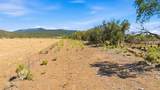 15 Plus Acres Off Highway 522 And Myers - Photo 3