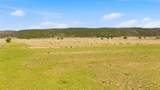 15 Plus Acres Off Highway 522 And Myers - Photo 4