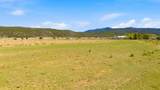 15 Plus Acres Off Highway 522 And Myers - Photo 7