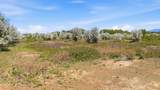3 Acres Cordillera Tract C 3 A - Photo 11
