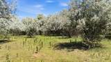 3 Acres Cordillera Tract C 3 A - Photo 5