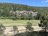 1769 State Hwy 434 - Photo 3