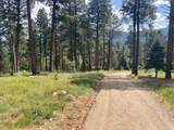 Valle Escondido Wapiti Loop - Photo 12