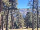Valle Escondido Wapiti Loop - Photo 14