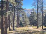Valle Escondido Wapiti Loop - Photo 17